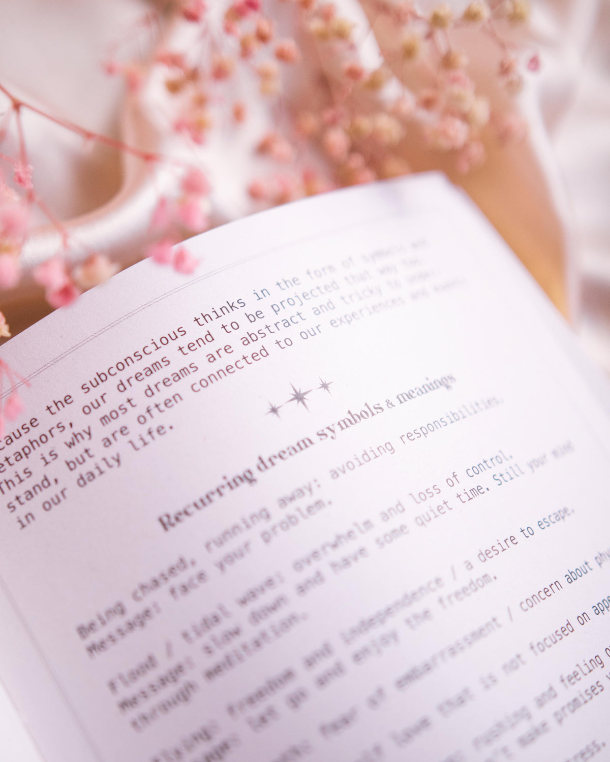 Dreamy Moons "Dream Journal showing the journal's interior pages and artwork — Eternal Spirit