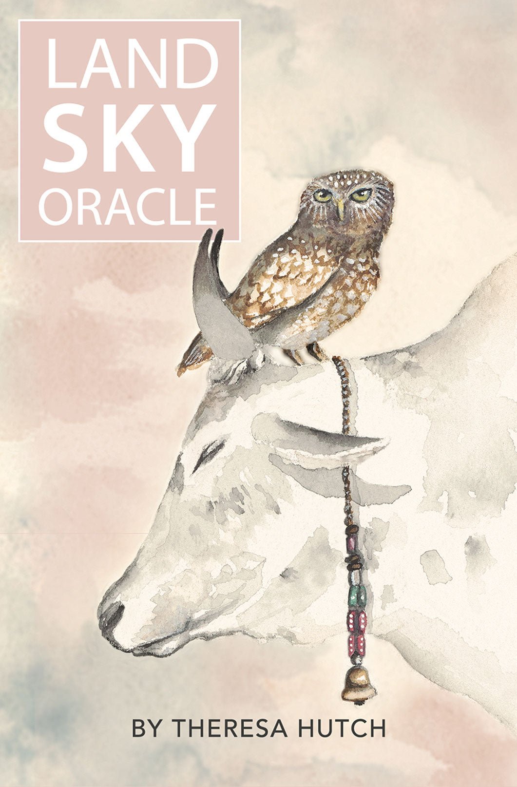 Land Sky Oracle box with indigenous owl art by Theresa Hutch — Eternal Spirit
