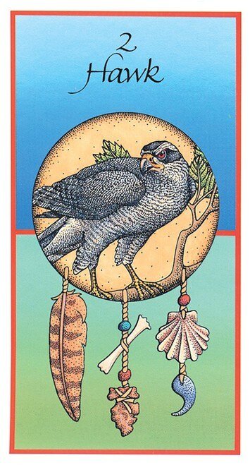 Hawk medicine card with feathered dreamcatcher and painted bird of prey — Eternal Spirit