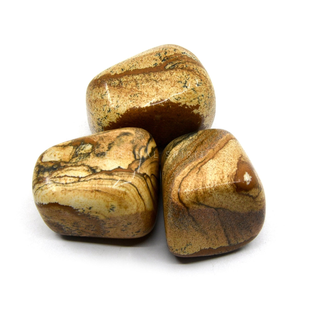 collection of extra-large polished Jasper (Picture) tumble stones — Eternal Spirit
