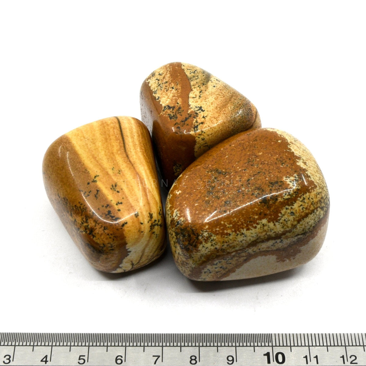 close-up of extra-large Jasper (Picture) tumbles showing natural colour and lustre — Eternal Spirit