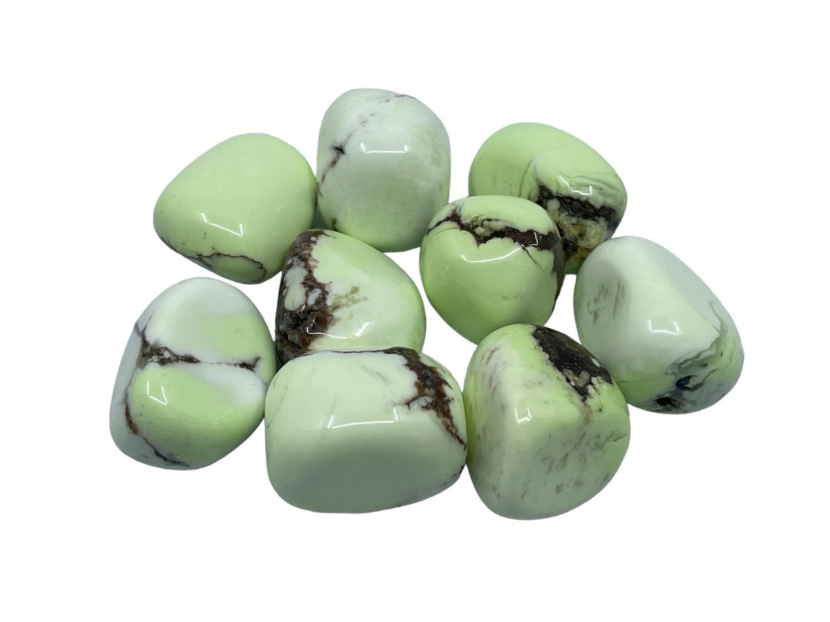 collection of Lemon polished Chrysoprase tumble stones — Eternal Spirit
