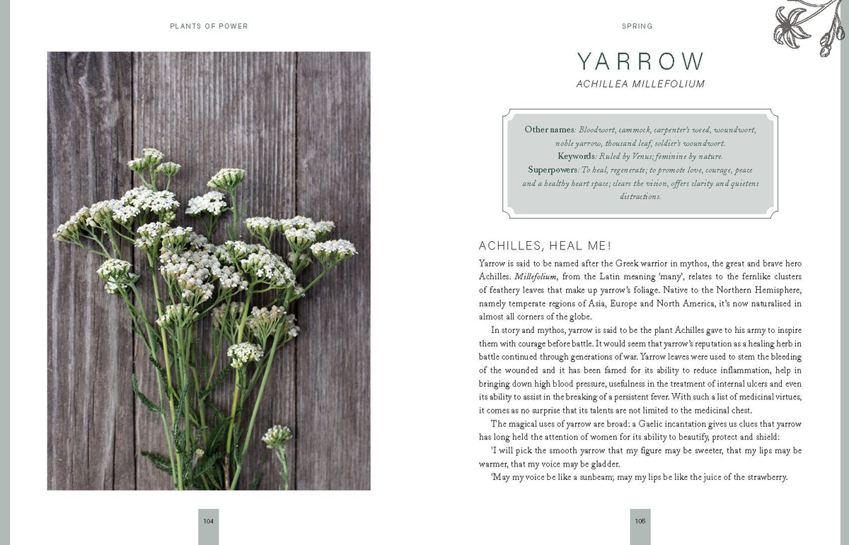 interior preview 3 of Plants of Power — Eternal Spirit