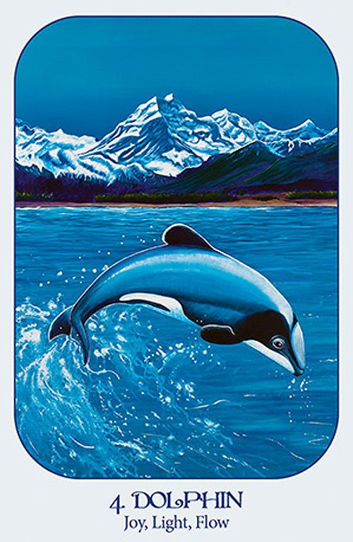 Animal Voices Cards, Dolphin card with orca illustration, Joy Light Flow message — Eternal Spirit