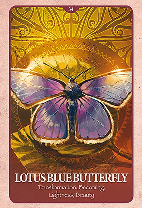 The Secret Language of Animals Oracle card celebrating the deck's unique visual language — Eternal Spirit