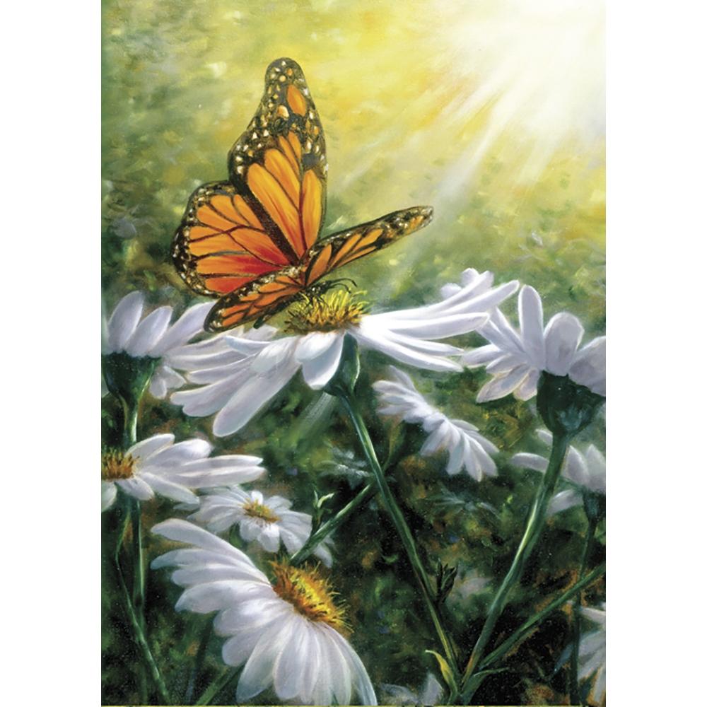 Tree Free Rays of Flight card, richly illustrated front artwork — Eternal Spirit