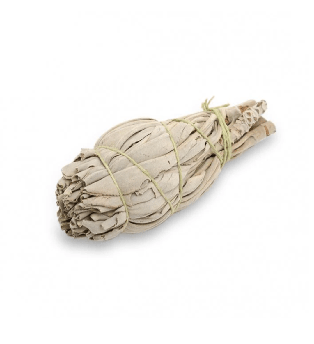 smudge sticks - white sage (flame), aromatic herbal bundle on white background — Eternal Spirit