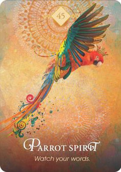 The Spirit Animal Oracle card illuminating the deck's rich colour palette — Eternal Spirit