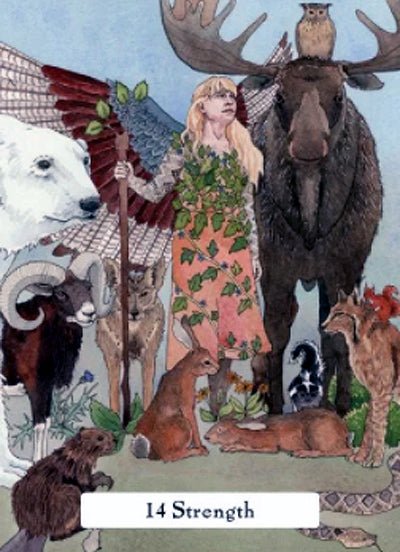 The Witches' Wisdom Tarot card illuminating the deck's rich colour palette — Eternal Spirit