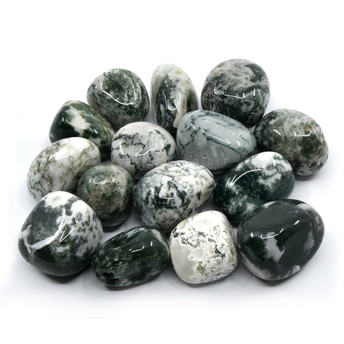 collection of polished Agate (Tree) tumble stones — Eternal Spirit