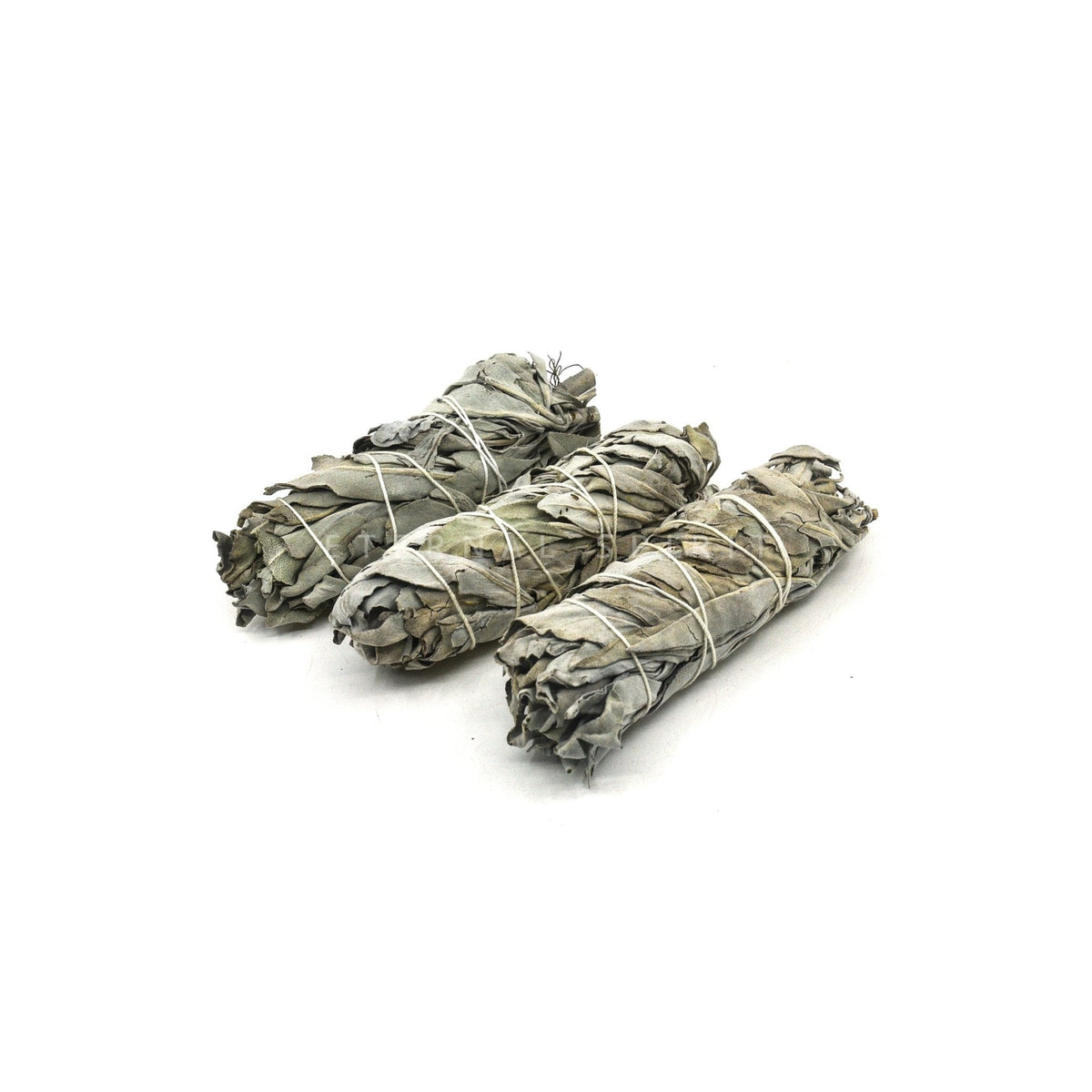 white sage smudge sticks (various sizes), close-up showing dried leaf and herb texture — Eternal Spirit