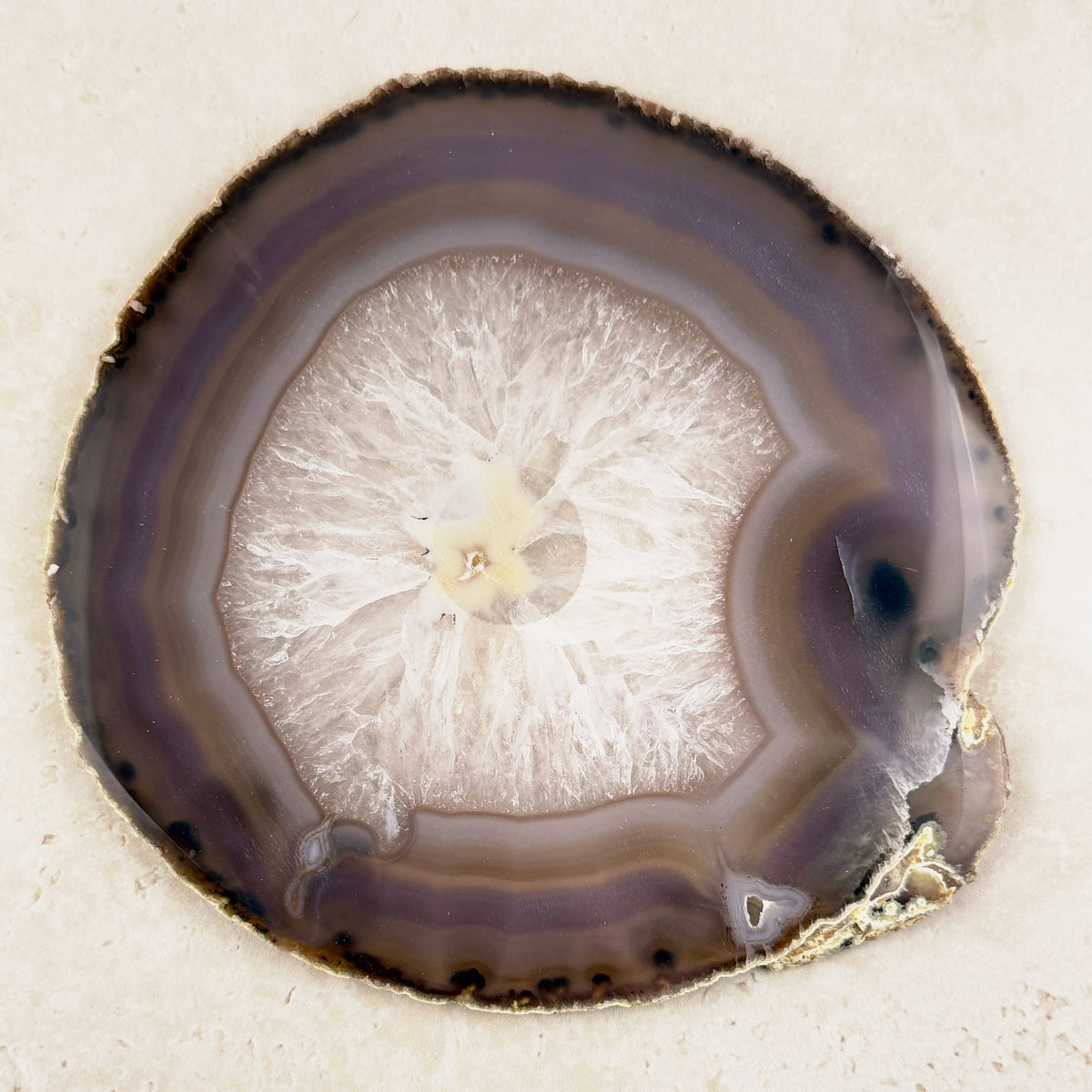 Agate crystal slice 17cm, natural grey and brown bands around a white crystal centre, from above — Eternal Spirit