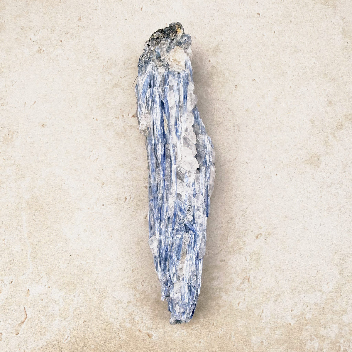 Blue kyanite natural crystal blade 11cm, blue and white layered blades, viewed lengthways — Eternal Spirit