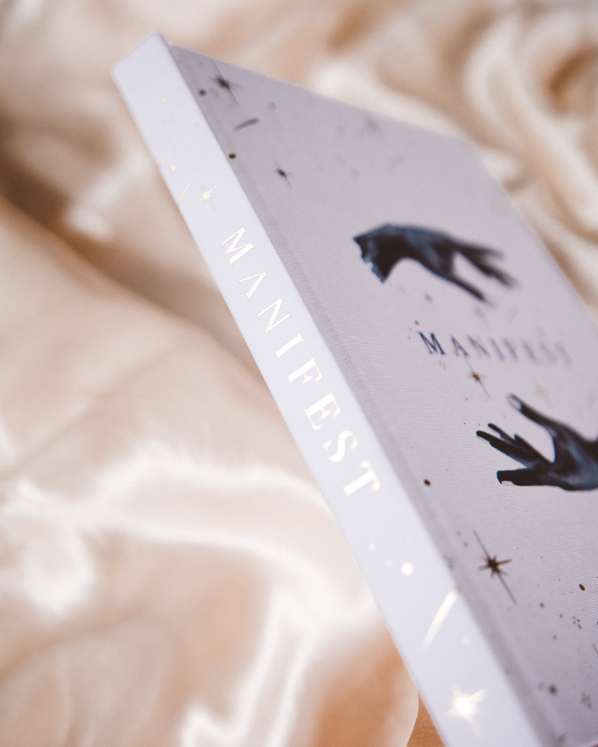 Dreamy Moons "Manifest revealing the journal's guided writing prompts (manifest view 14) — Eternal Spirit