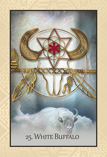 The Native Heart Healing Oracle card demonstrating the deck's inspired artistry — Eternal Spirit