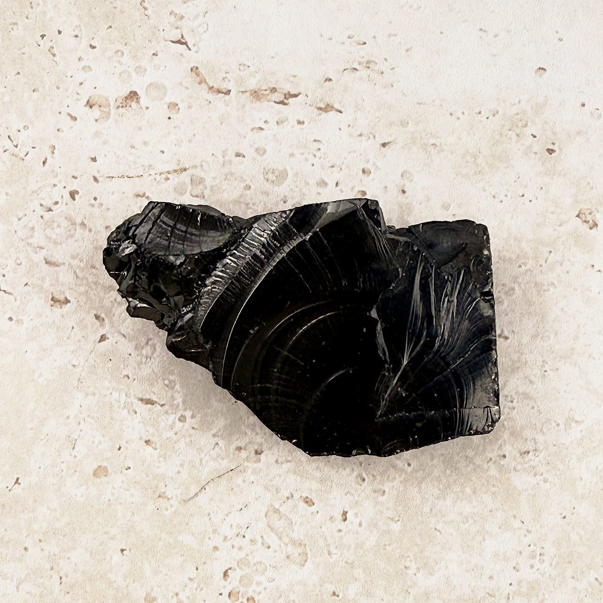 Rippled elite shungite rough crystal 7cm, shell-like ripples on glassy black faces — Eternal Spirit