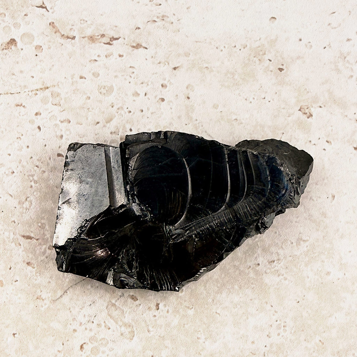 Rippled elite shungite rough crystal 7cm, glassy black with curved ripples, other side — Eternal Spirit