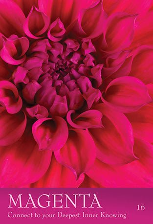 Secret Language Of Colour Oracle deck, Magenta card with deep pink flower petals and inner knowing message — Eternal Spirit