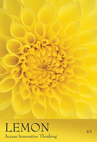 The Secret Language of Colour Oracle card showcasing the deck's evocative imagery — Eternal Spirit