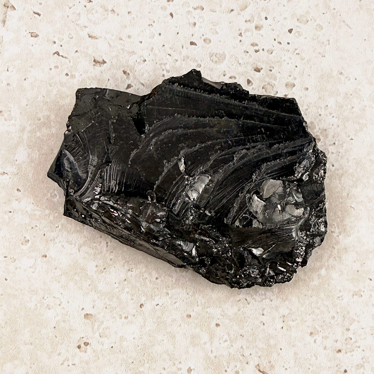 Silvery elite shungite rough crystal 7cm, glossy black with rippled faces, viewed from above — Eternal Spirit