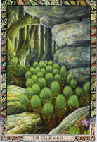Druid Plant Oracle card celebrating the deck's unique visual language — Eternal Spirit