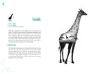interior preview 3 of An A-Z of Animal Symbolism — Eternal Spirit