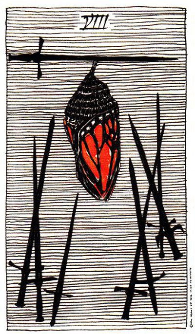The Wild Unknown Tarot card exhibiting the deck's transformative card art — Eternal Spirit