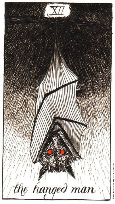 The Wild Unknown Tarot card reflecting the deck's transcendent artwork — Eternal Spirit