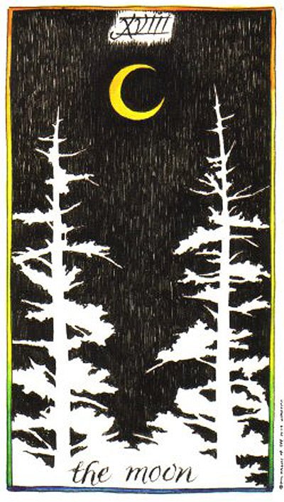 The Wild Unknown Tarot card revealing the deck's deeply layered symbolism — Eternal Spirit