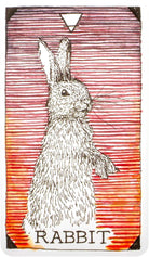 The Wild Unknown Animal Spirit Oracle card revealing the deck's deeply layered symbolism — Eternal Spirit