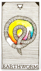 The Wild Unknown Animal Spirit Oracle card demonstrating the deck's inspired artistry — Eternal Spirit