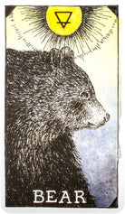 The Wild Unknown Animal Spirit Oracle card exhibiting the deck's transformative card art — Eternal Spirit