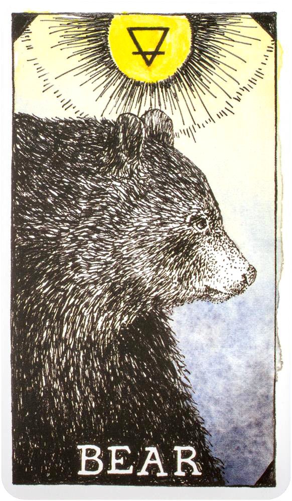 The Wild Unknown Animal Spirit Oracle card exhibiting the deck's transformative card art — Eternal Spirit