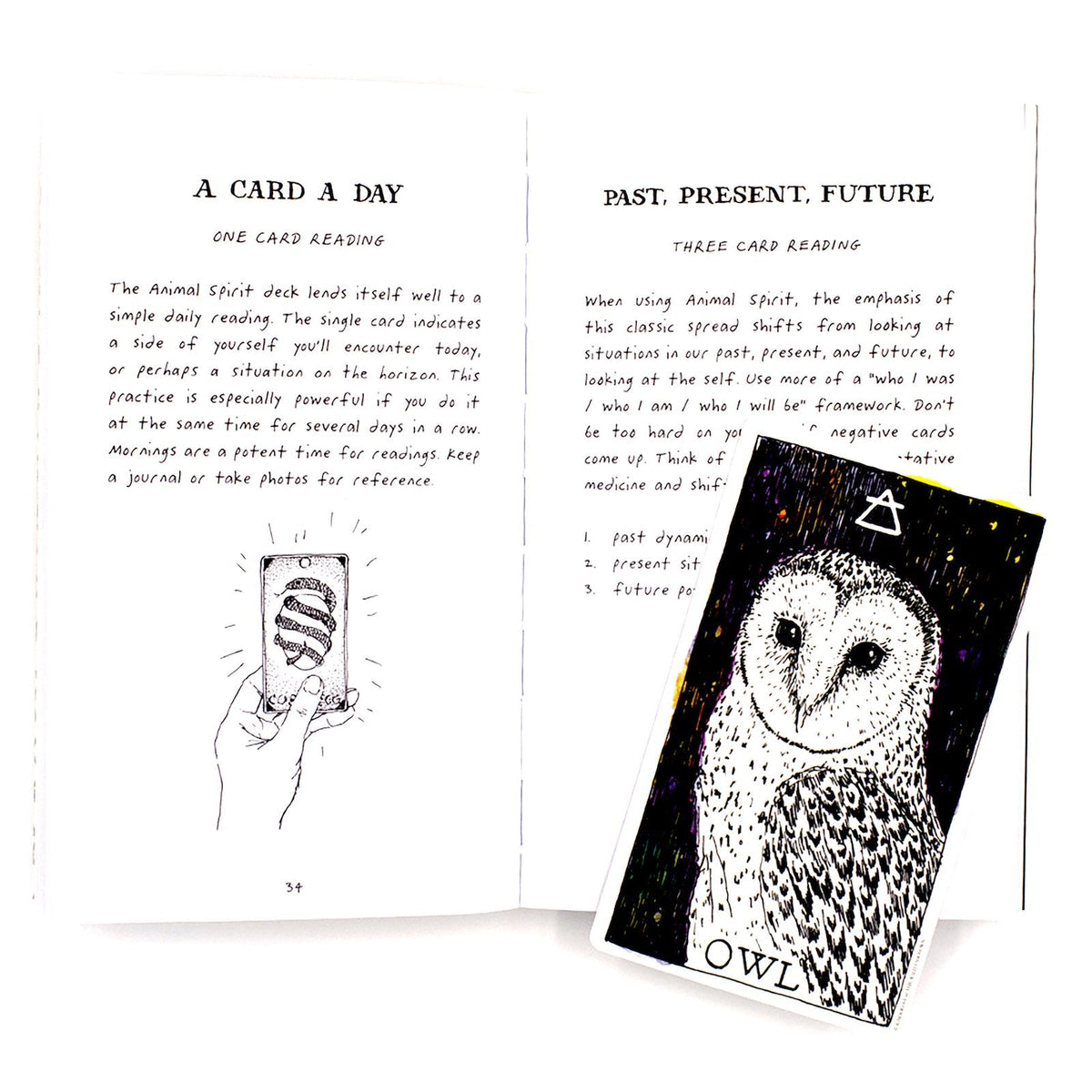The Wild Unknown Animal Spirit Oracle card offering a glimpse of the deck's sacred imagery — Eternal Spirit