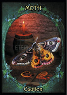 Witches' Familiars Oracle Cards card sharing the deck's luminous illustration style — Eternal Spirit