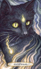 Soul Cats Tarot card revealing the deck's mystical artwork — Eternal Spirit