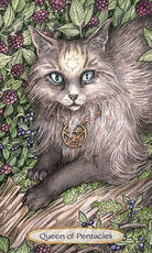 Soul Cats Tarot card showcasing the deck's evocative imagery — Eternal Spirit