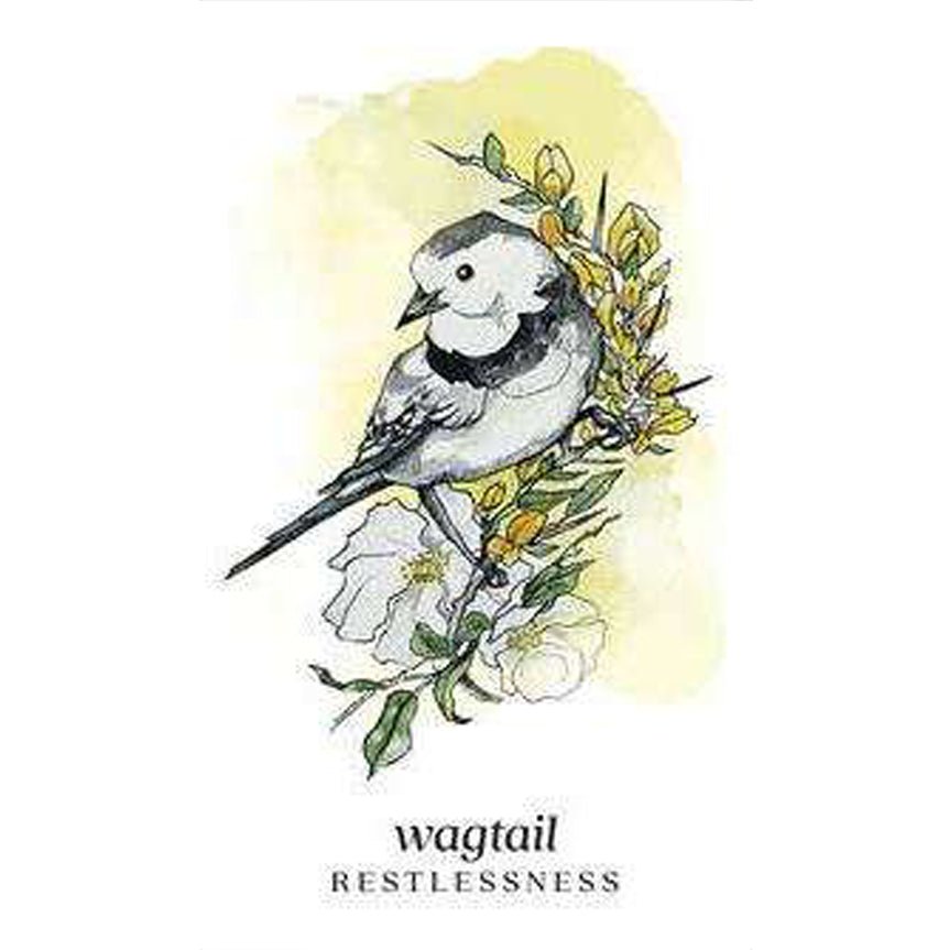 Winterseer Animal Oracle card displaying the deck's hand-painted illustrations — Eternal Spirit