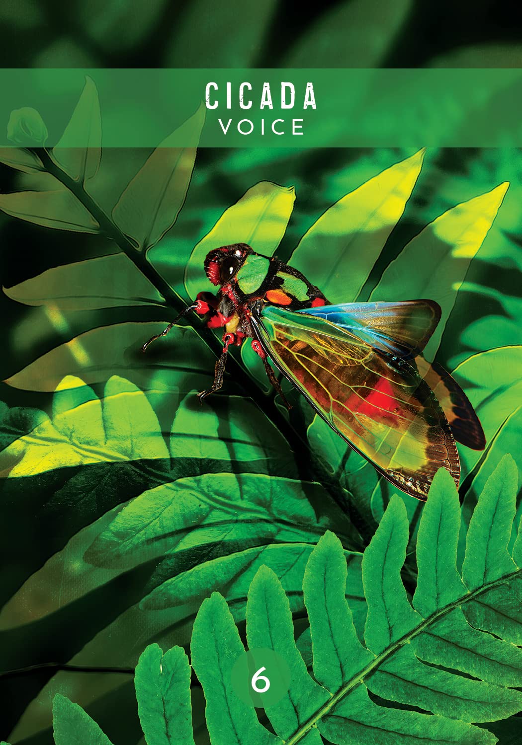 Messages from the Spirits of Nature card demonstrating the deck's inspired artistry — Eternal Spirit