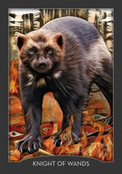 Guardian of the Night Tarot card unveiling the deck's spiritual symbolism — Eternal Spirit