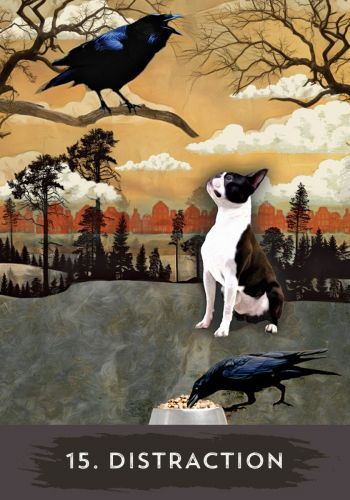Urban Crow Oracle card highlighting the deck's symbolic art — Eternal Spirit