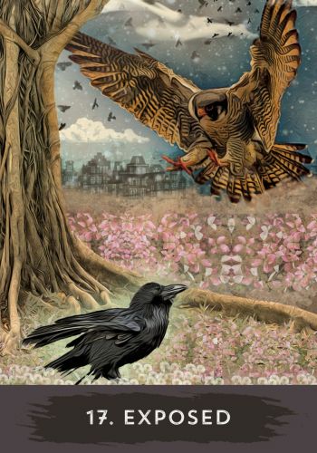 Urban Crow Oracle card illuminating the deck's rich colour palette — Eternal Spirit