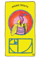 Animal Apothecary Oracle card revealing the deck's deeply layered symbolism — Eternal Spirit