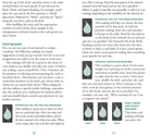 The Essential Oils Healing Deck card showing the deck's detailed artistic vision — Eternal Spirit