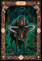 Power of the Runes card deck, sample card 1 — Eternal Spirit