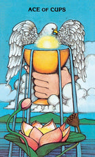 Morgan-Greer Tarot (Tin) card exploring the deck's contemplative imagery — Eternal Spirit