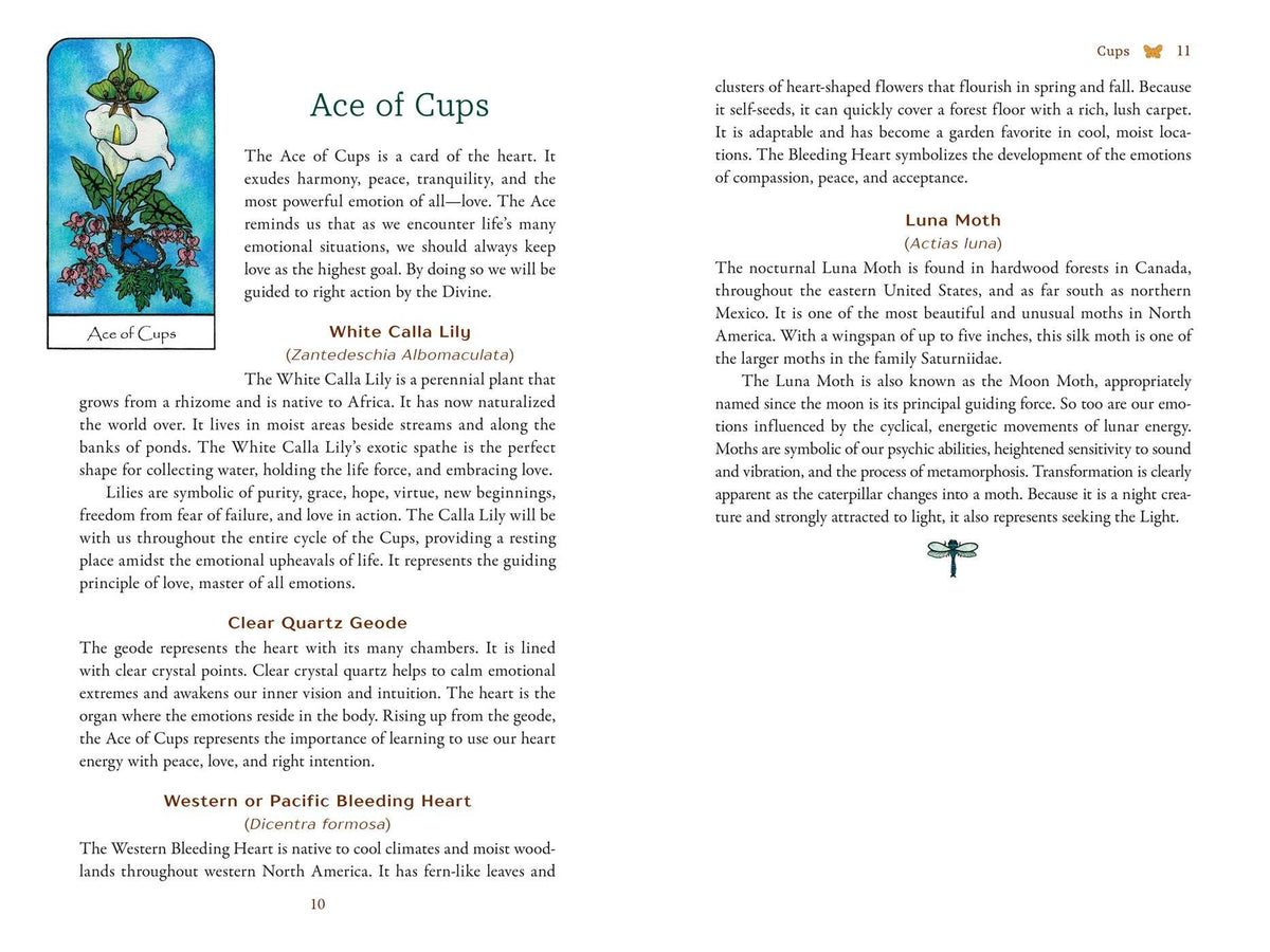 Nature Spirit Tarot card sharing the deck's luminous illustration style — Eternal Spirit