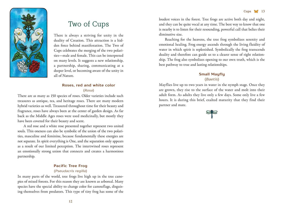 Nature Spirit Tarot card reflecting the deck's transcendent artwork — Eternal Spirit