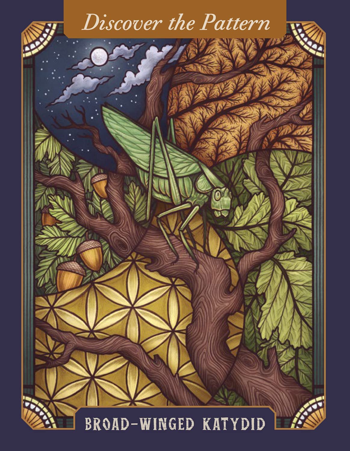 The Illustrated Beastiary Oracle card showcasing the deck's evocative imagery — Eternal Spirit