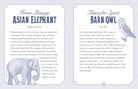 The Illustrated Beastiary Oracle card celebrating the deck's unique visual language — Eternal Spirit